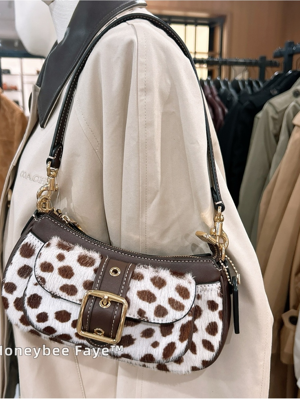 Coach Ashton Mini Shoulder Bag In Haircalf CEN10 Dark Brown Chalk